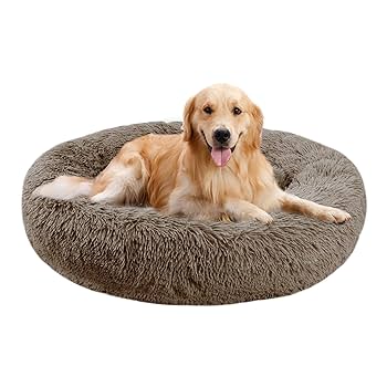 ナスティードッグ　MiniDog Rug ラグ　Nastydog MiniDog Rug | NastyDog OnlineStore